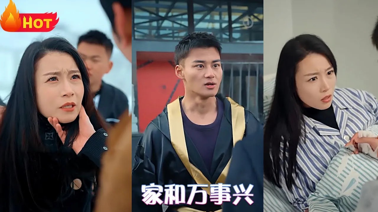 家和万事兴(全集)